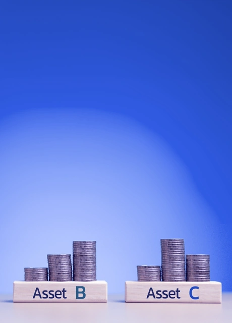 Portfolio Building & Diversification