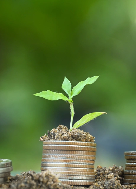 The Psychology Behind Wealth Building